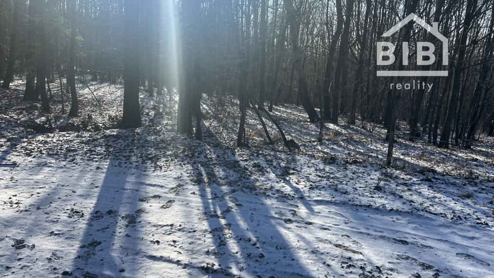 PREDAJ lesný pozemok, Chotár, Nová Baňa, 10 842 m2