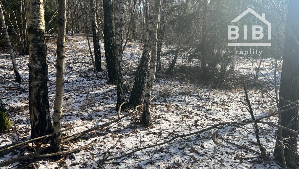 PREDAJ lesný pozemok, Chotár, Nová Baňa, 10 842 m2