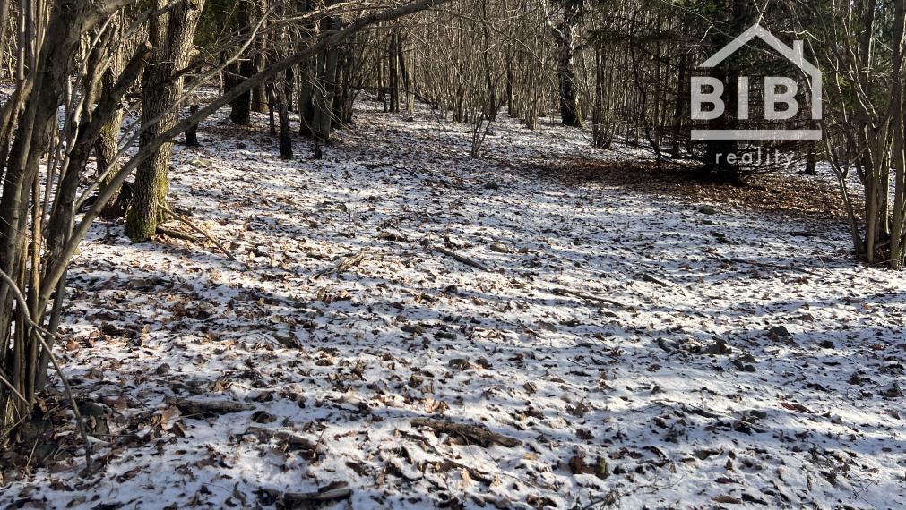 PREDAJ lesný pozemok, Chotár, Nová Baňa, 10 842 m2