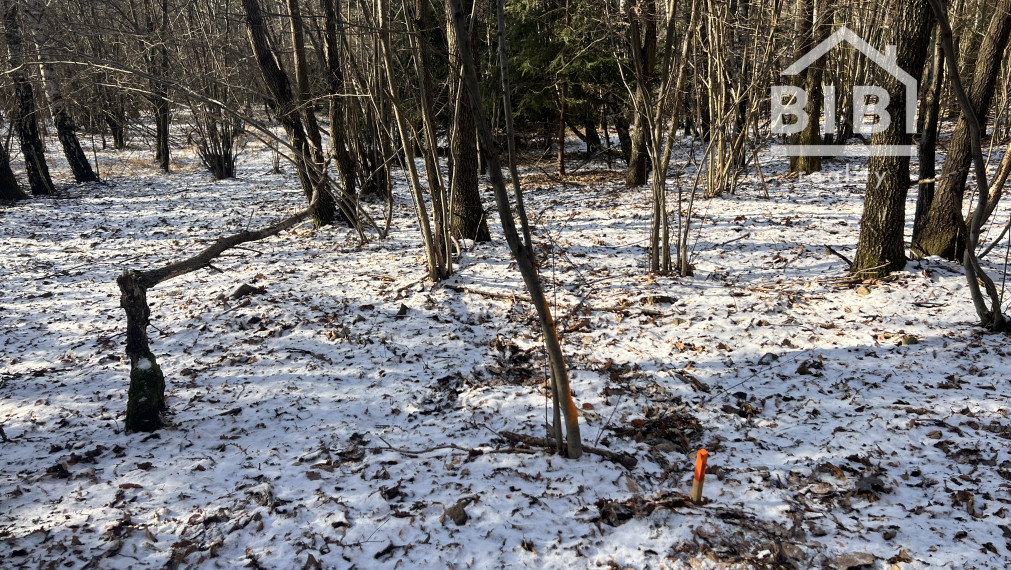 PREDAJ lesný pozemok, Chotár, Nová Baňa, 10 842 m2