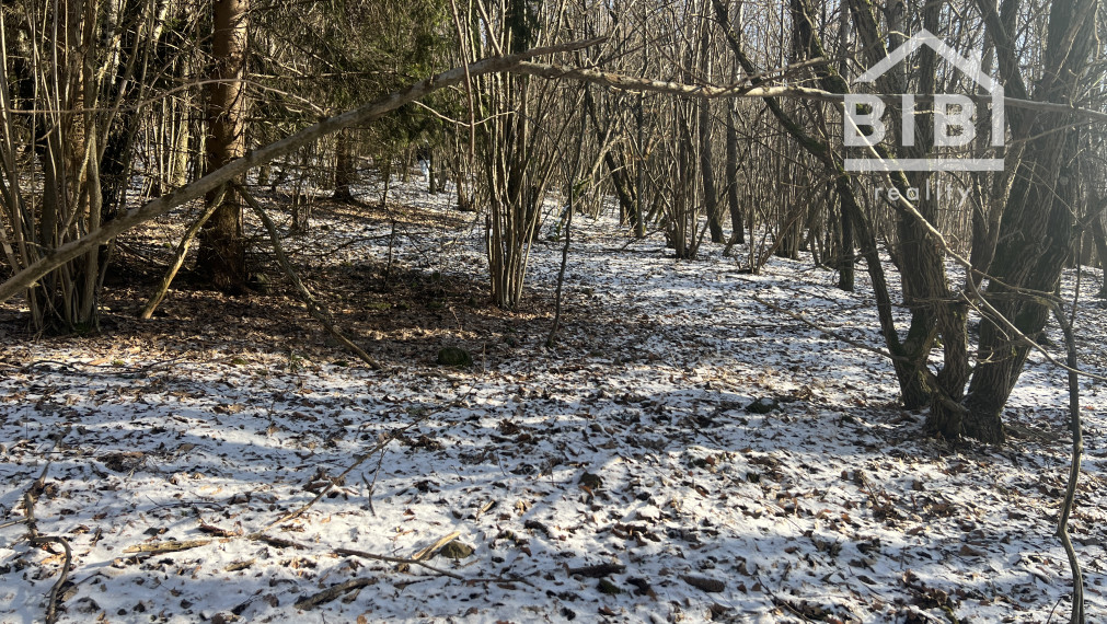 PREDAJ lesný pozemok, Chotár, Nová Baňa, 10 842 m2