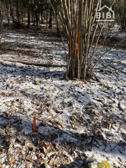 PREDAJ lesný pozemok, Chotár, Nová Baňa, 10 842 m2