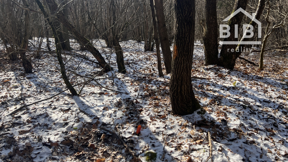 PREDAJ lesný pozemok, Chotár, Nová Baňa, 10 842 m2