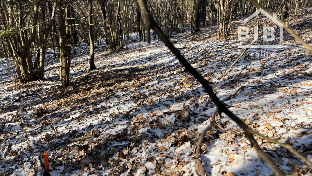 PREDAJ lesný pozemok, Chotár, Nová Baňa, 10 842 m2