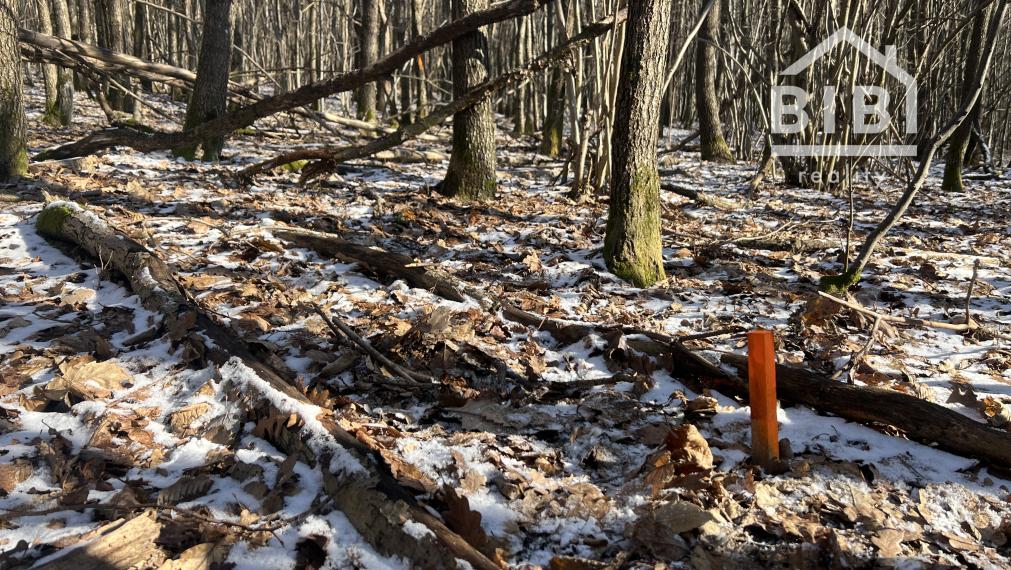 PREDAJ lesný pozemok, Chotár, Nová Baňa, 10 842 m2