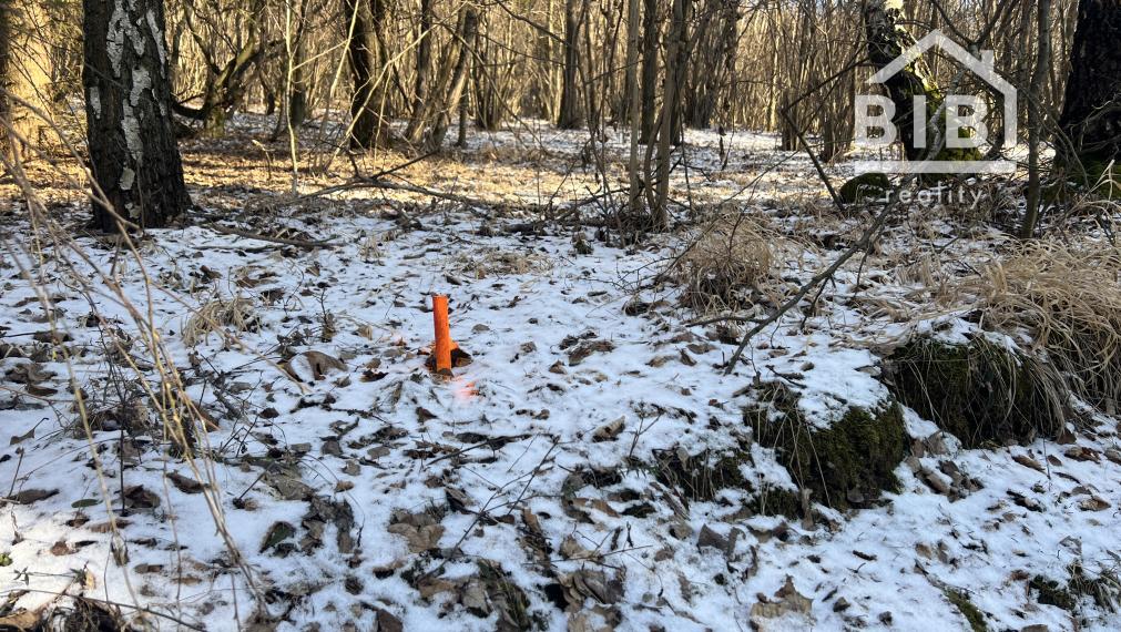 PREDAJ lesný pozemok, Chotár, Nová Baňa, 10 842 m2