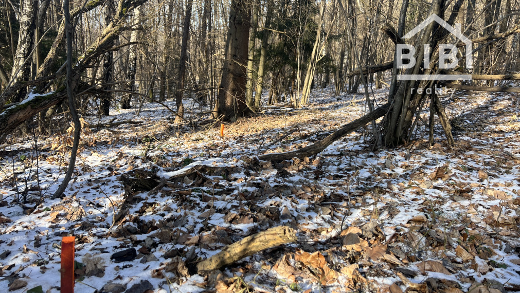 PREDAJ lesný pozemok, Chotár, Nová Baňa, 10 842 m2