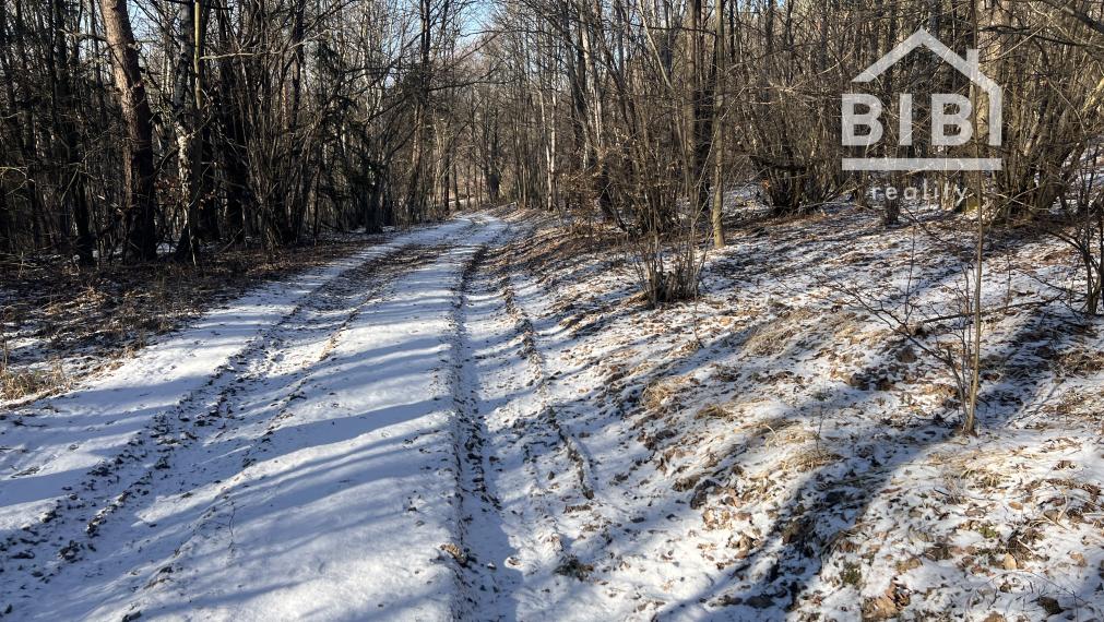 PREDAJ lesný pozemok, Chotár, Nová Baňa, 10 842 m2