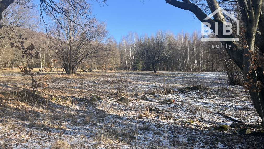 PREDAJ lesný pozemok, Chotár, Nová Baňa, 10 842 m2