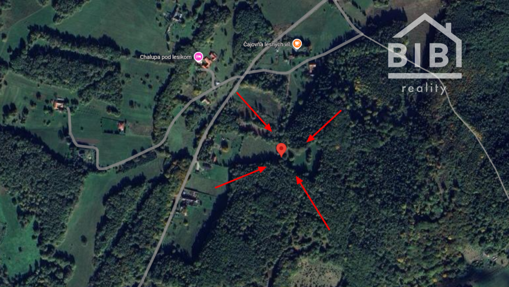 PREDAJ lesný pozemok, Chotár, Nová Baňa, 10 842 m2