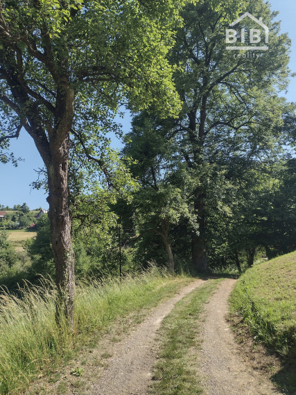 PREDAJ pozemky Drietoma, časť Branné, 8045m2