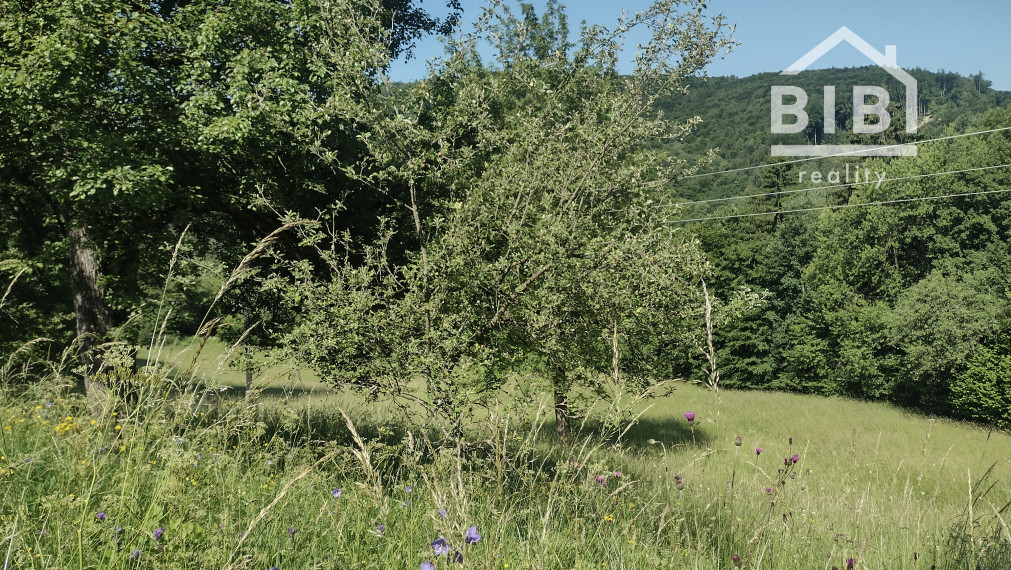 PREDAJ pozemky Drietoma, časť Branné, 8045m2