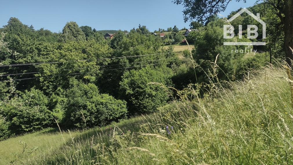 PREDAJ pozemky Drietoma, časť Branné, 8045m2