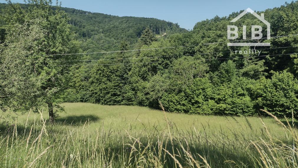 PREDAJ pozemky Drietoma, časť Branné, 8045m2