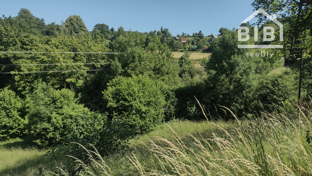 PREDAJ pozemky Drietoma, časť Branné, 8045m2