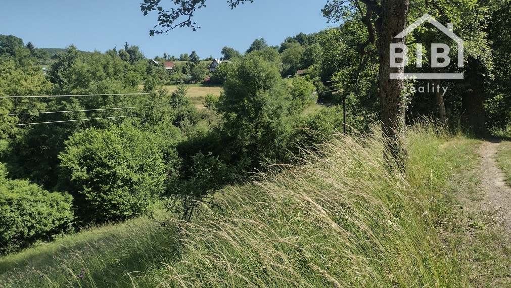 PREDAJ pozemky Drietoma, časť Branné, 8045m2