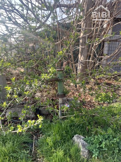 REZERVOVANÉ PREDAJ pozemok so starším domom, Ostrov