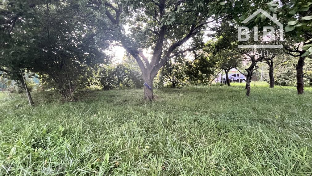 PREDAJ chata, Piešťany - ZO Sĺňava