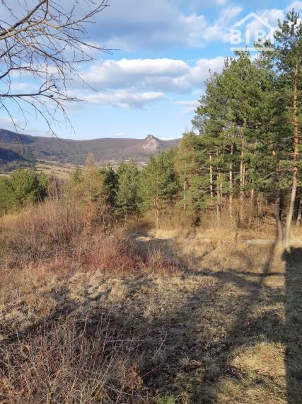 PREDAJ stavebný pozemok Omšenie