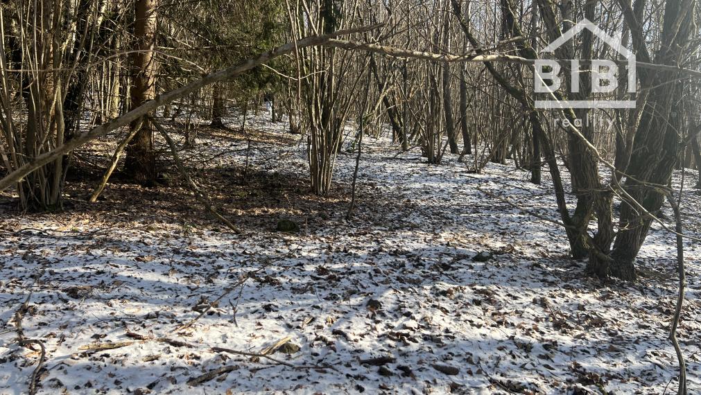 PREDAJ lesný pozemok, Chotár, Nová Baňa, 10 842 m2