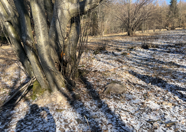 PREDAJ lesný pozemok, Chotár, Nová Baňa, 10 842 m2