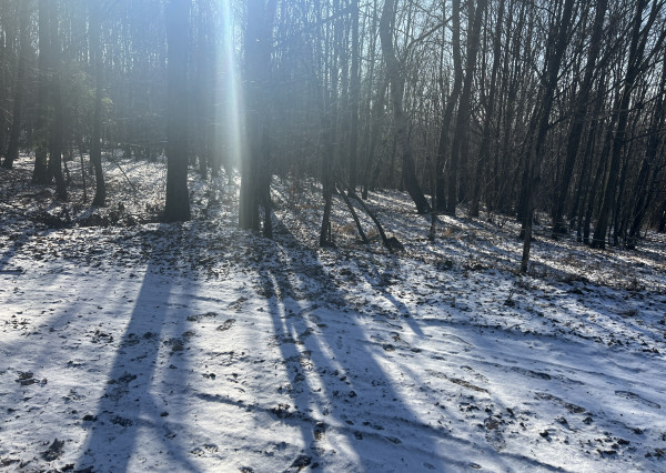 PREDAJ lesný pozemok, Chotár, Nová Baňa, 10 842 m2