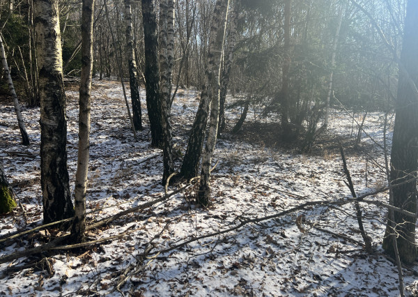 PREDAJ lesný pozemok, Chotár, Nová Baňa, 10 842 m2