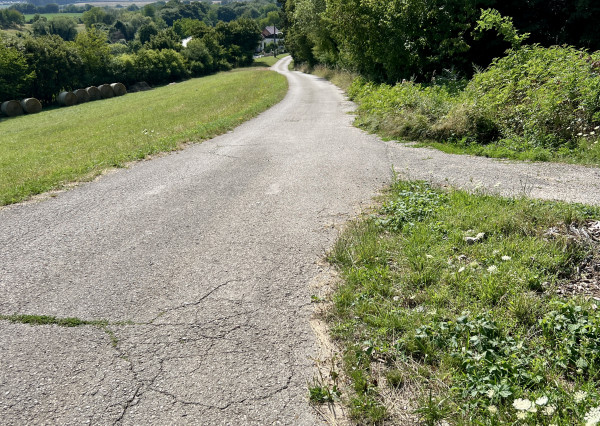 PREDAJ Chata s elektrinou, Hôrka nad Váhom, 554 m2 pozemok
