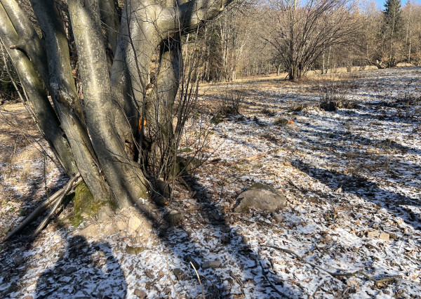 PREDAJ lesný pozemok, Chotár, Nová Baňa, 10 842 m2