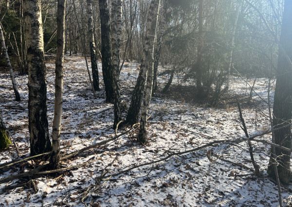 PREDAJ lesný pozemok, Chotár, Nová Baňa, 10 842 m2