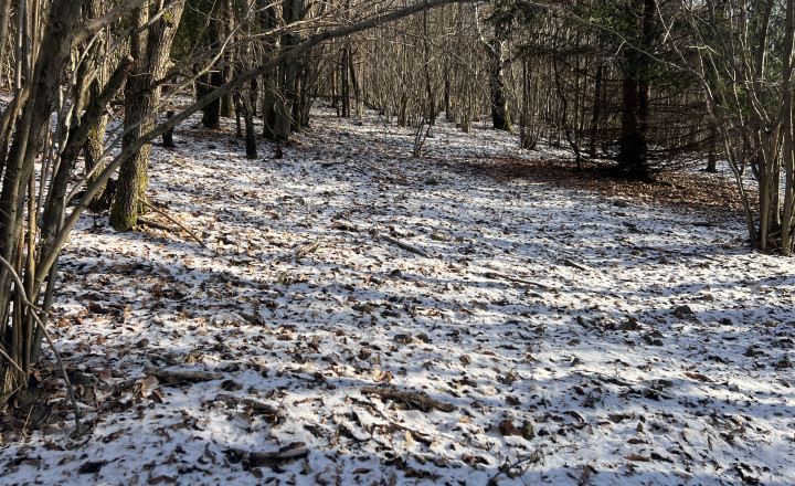 PREDAJ lesný pozemok, Chotár, Nová Baňa, 10 842 m2 - fotografia 3