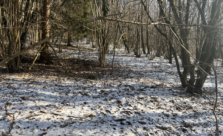 PREDAJ lesný pozemok, Chotár, Nová Baňa, 10 842 m2 - fotografia 6