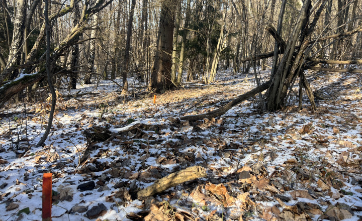 PREDAJ lesný pozemok, Chotár, Nová Baňa, 10 842 m2 - fotografia 11