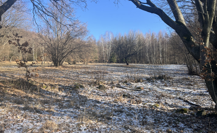 PREDAJ lesný pozemok, Chotár, Nová Baňa, 10 842 m2 - fotografia 13
