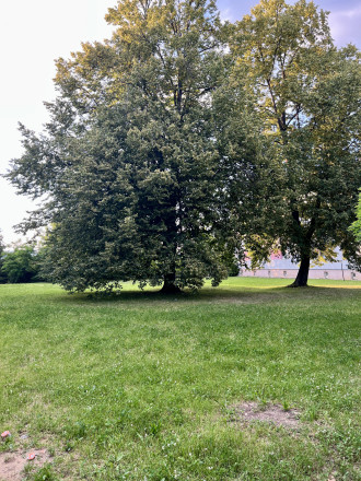 PREDAJ 1 izb byt, Dubnica nad Váhom, ul. Bratislavská - fotografia 13