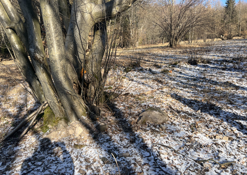 PREDAJ lesný pozemok, Chotár, Nová Baňa, 10 842 m2 - fotografia 1